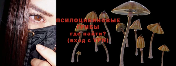 мескалин Коряжма