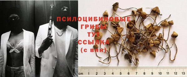 мескалин Коряжма